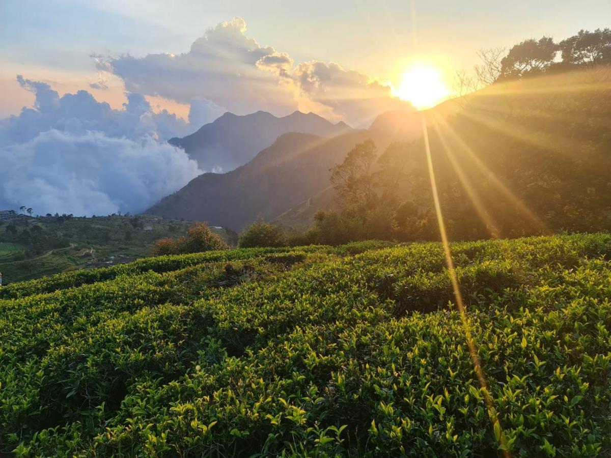 Hill Safari - Tea Estate Villa Ohiya Ngoại thất bức ảnh
