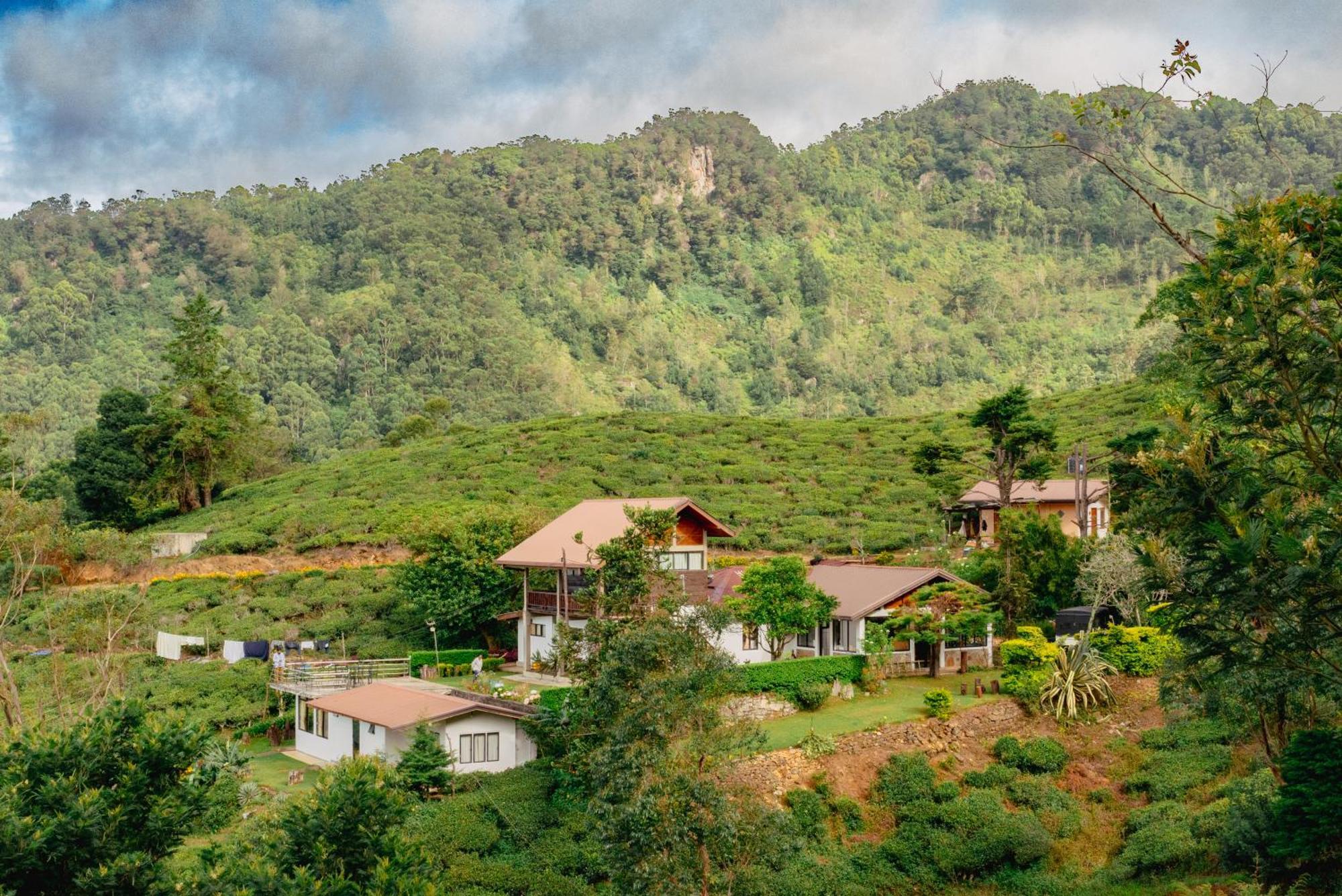 Hill Safari - Tea Estate Villa Ohiya Ngoại thất bức ảnh