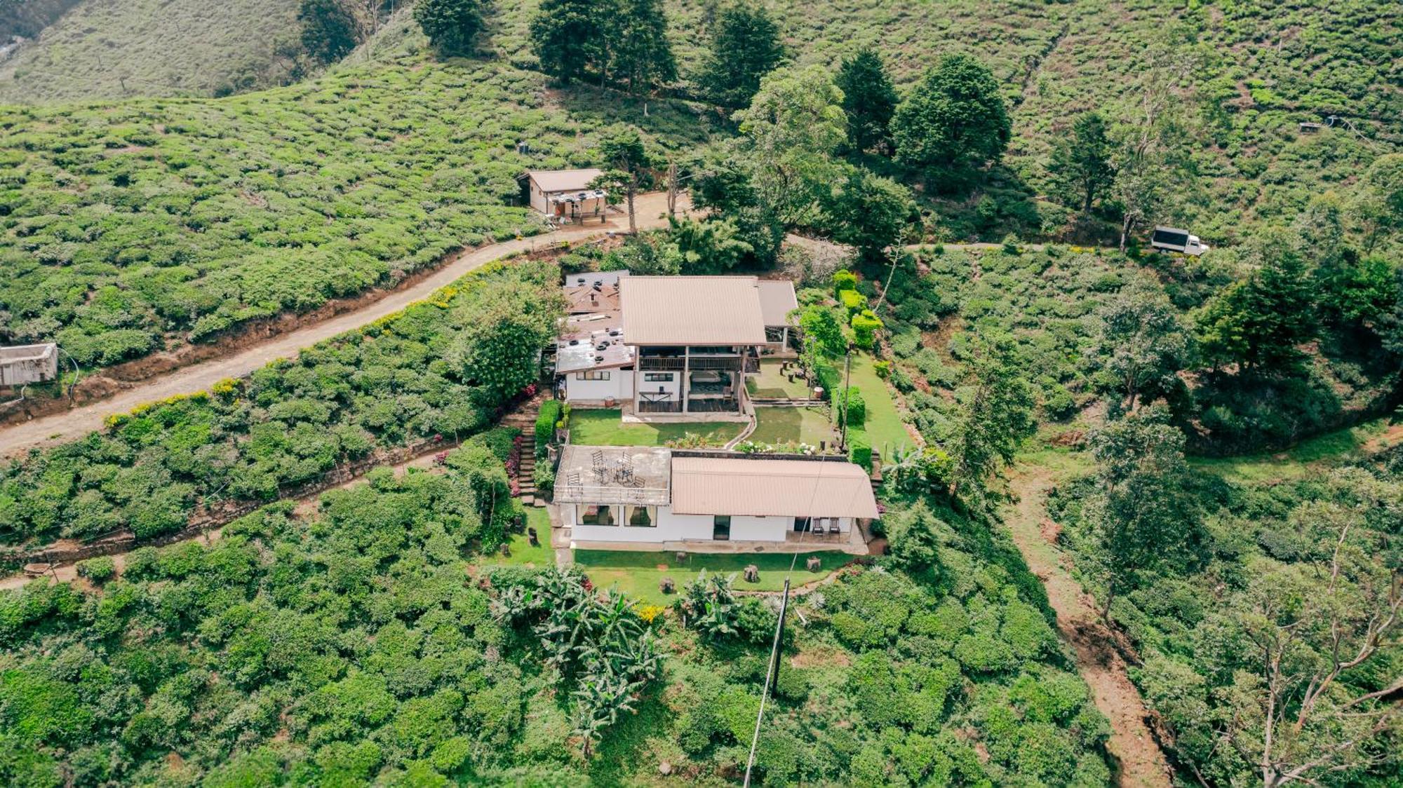 Hill Safari - Tea Estate Villa Ohiya Ngoại thất bức ảnh