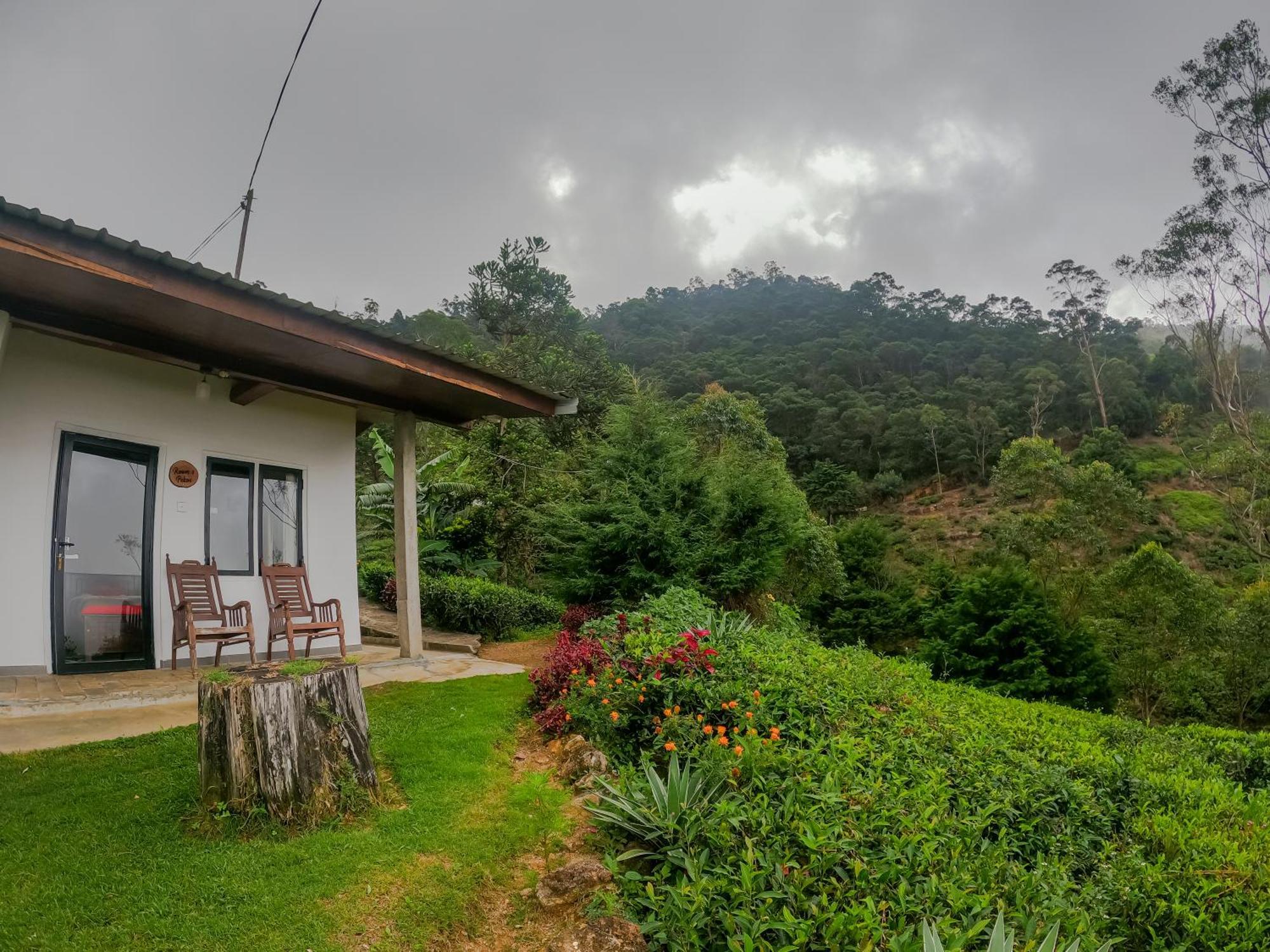 Hill Safari - Tea Estate Villa Ohiya Ngoại thất bức ảnh