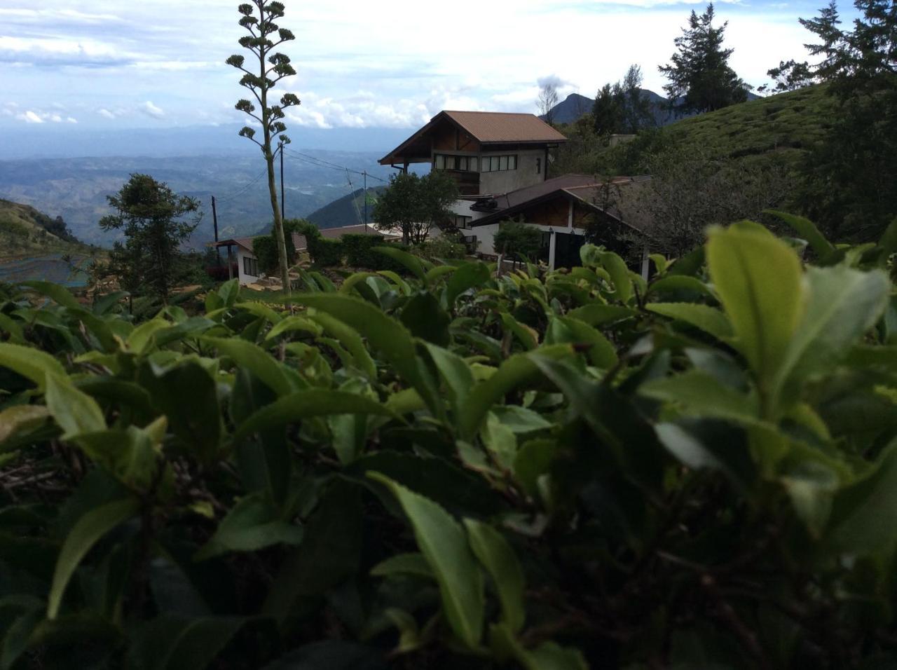 Hill Safari - Tea Estate Villa Ohiya Ngoại thất bức ảnh